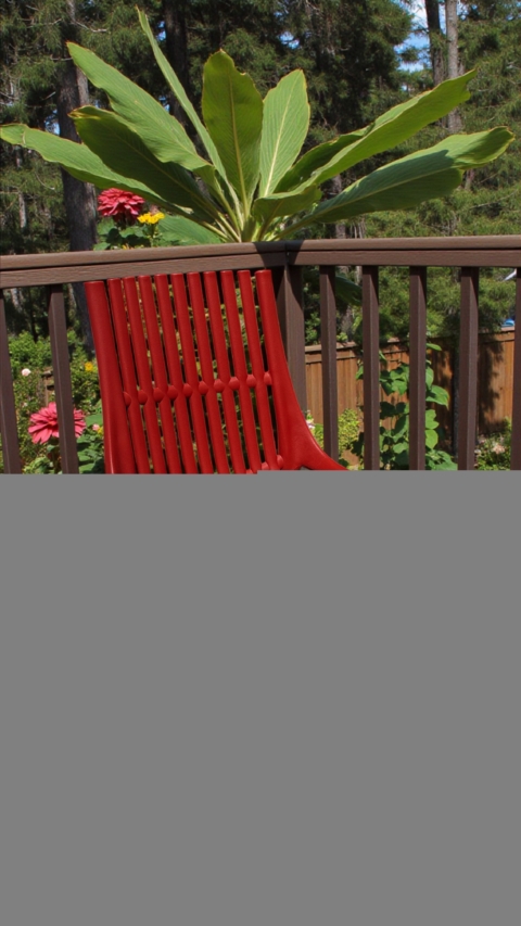 Chaise de jardin rouge en plastique avec lattes, idéale pour l'extérieur, sur une terrasse en bois avec un grand plant tropical en arrière-plan.